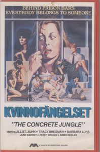 Kvinnofängelset