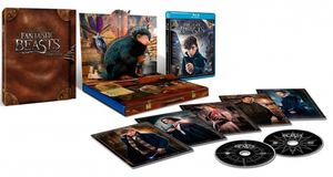 Fantastic Beasts And Where To Find Them