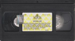 Hoodlum