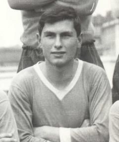 Francesco Bertuccioli