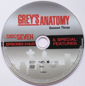 Grey's Anatomy Season Three Seriously Extended