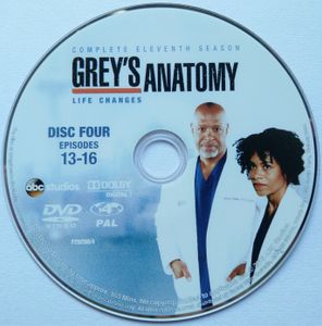 Grey's Anatomy Complete Eleventh Season