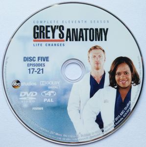 Grey's Anatomy Complete Eleventh Season