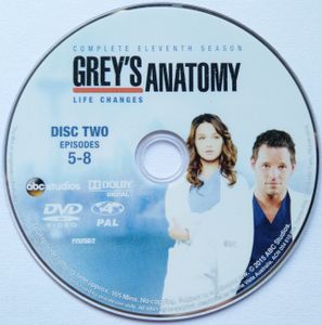 Grey's Anatomy Complete Eleventh Season