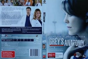 Grey's Anatomy Complete Eleventh Season
