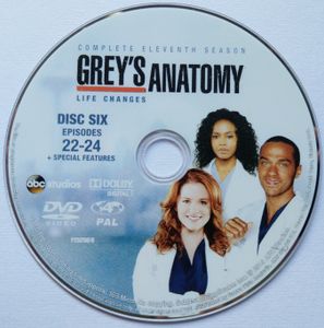 Grey's Anatomy Complete Eleventh Season