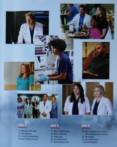 Grey's Anatomy Complete Eleventh Season