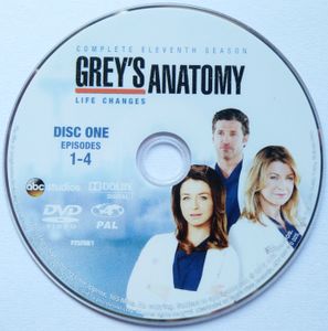 Grey's Anatomy Complete Eleventh Season