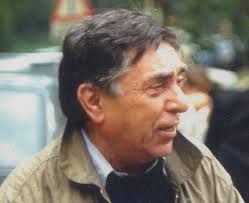 Vito Pallavicini