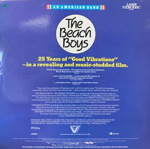 The Beach Boys: An American Band