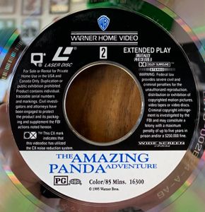 The Amazing Panda Adventure