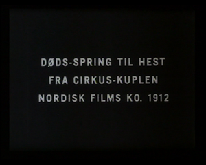 Dødsspring Til Hest Fra Cirkuskuplen