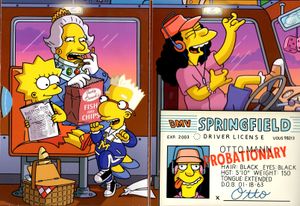 The Simpsons: The Fifteenth Season