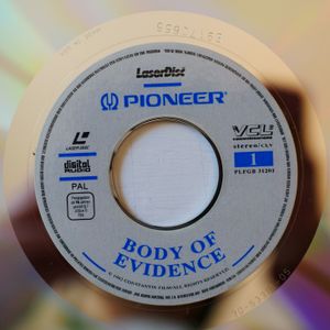 Body Of Evidence