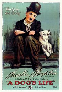 A Dog’s Life