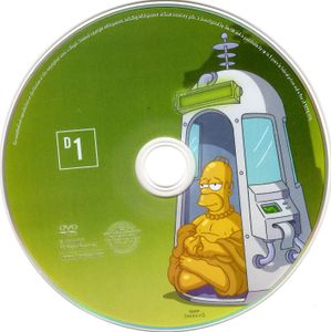 The Simpsons: The Sixteenth Season (Limited Edition DVD Collector's Box)