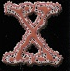 X-Rated Kultvideo