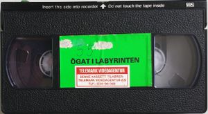 Ögat i labyrinten