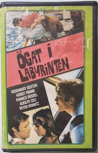 Ögat i labyrinten