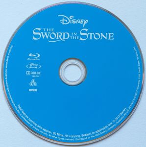 The Sword In The Stone