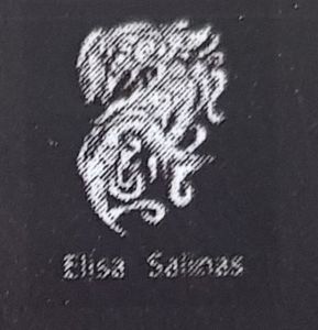 Elisa Salinas