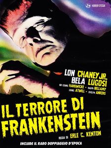 Il Terrore Di Frankenstein