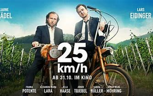 25 km/h