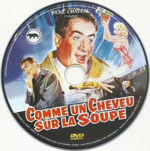 Comme un Cheveu sur la Soupe