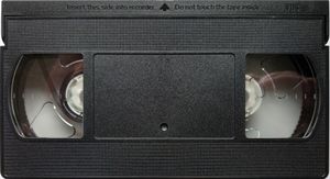 PJ Harvey: The Videos