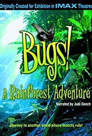 Bugs!