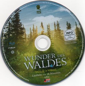 Wunder Des Waldes - Tale Of A Forest