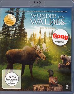 Wunder Des Waldes - Tale Of A Forest