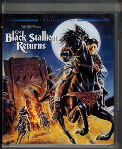 The Black Stallion Returns