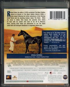 The Black Stallion Returns