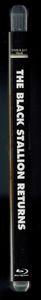 The Black Stallion Returns