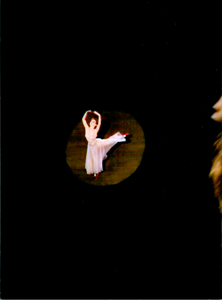 The Red Shoes