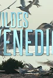 Wildes Venedig