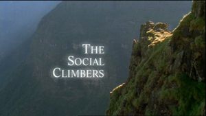 The Social Climbers