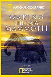 Waking The Baby Mammoth