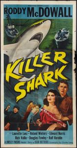 Killer Shark
