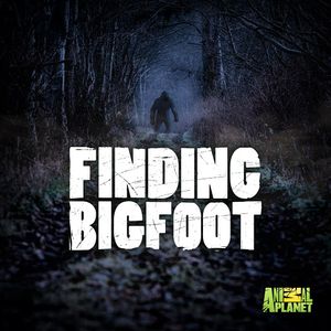 Finding Bigfoot