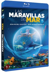 Las Maravillas Del Mar