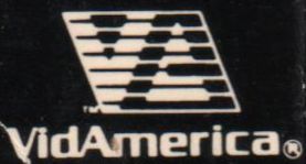 VidAmerica