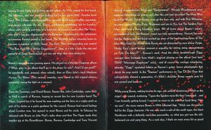 Beside Bowie: The Mick Ronson Story