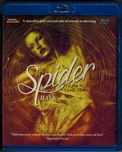Spider