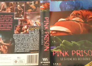 Pink Prison: Le Catene Del Desiderio