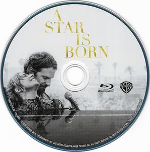 アリー/ スター誕生