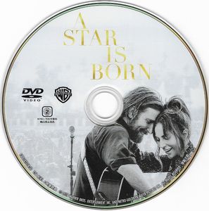アリー/ スター誕生