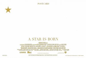 アリー/ スター誕生