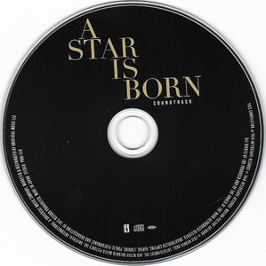 アリー/ スター誕生